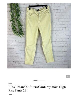 BDG Urban Outfitters Corduroy Mom High Rise Pants 29